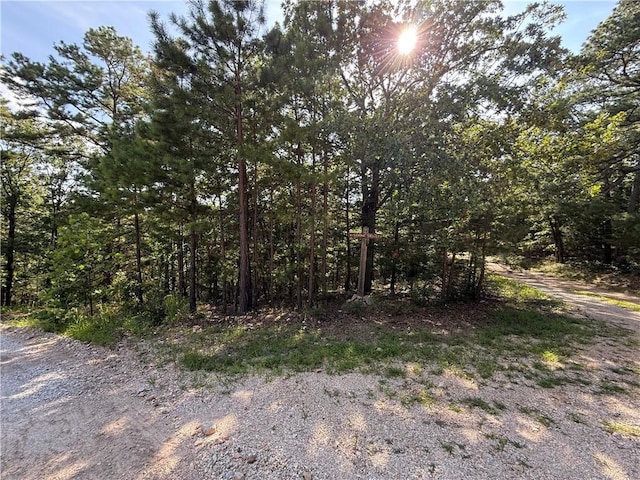135 Parkway Rd, Eureka Springs, AR 72632 - photo 12