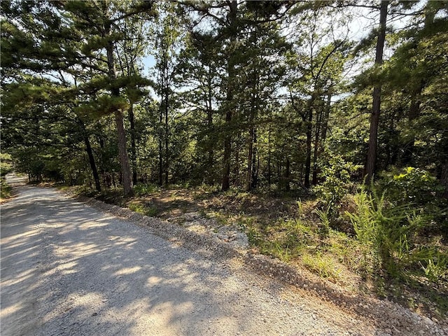 135 Parkway Rd, Eureka Springs, AR 72632 - photo 13