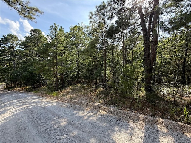 135 Parkway Rd, Eureka Springs, AR 72632 - photo 14