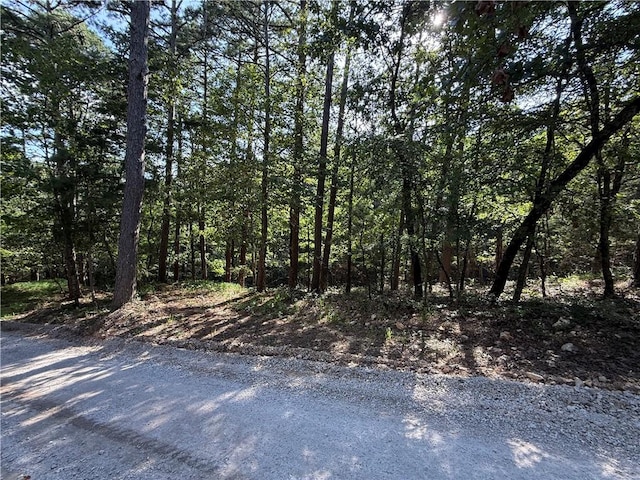 135 Parkway Rd, Eureka Springs, AR 72632 - photo 15