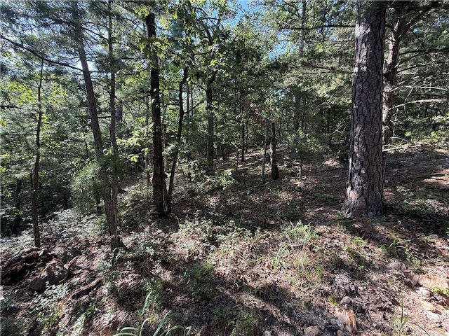 135 Parkway Rd, Eureka Springs, AR 72632 - photo 16