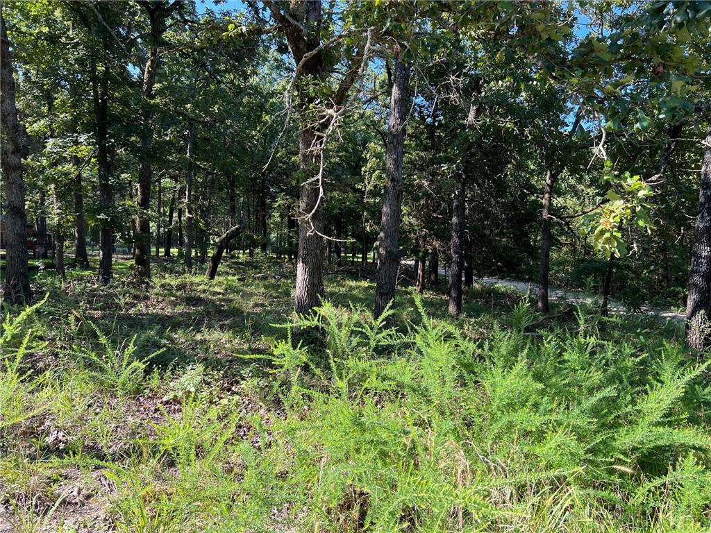 W Pine St, Diamond City, AR 72644 - photo 1