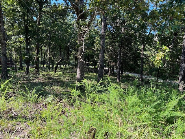 W Pine St, Diamond City, AR 72644 - photo 1