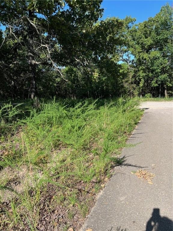 W Pine St, Diamond City, AR 72644 - photo 3