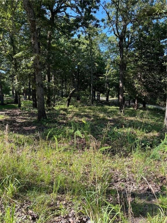 W Pine St, Diamond City, AR 72644 - photo 4