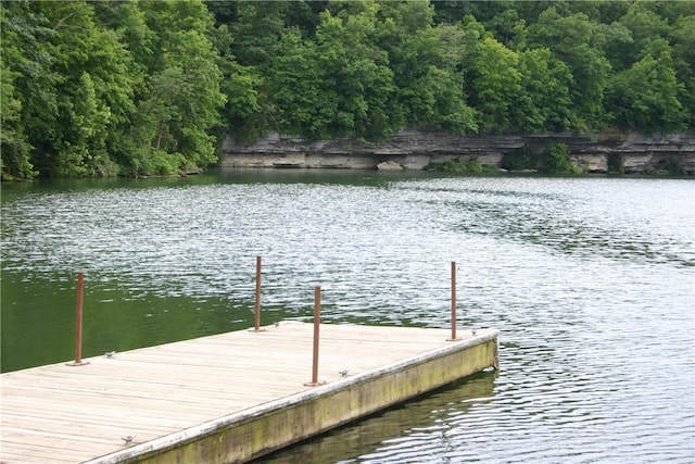 3 Richmond Ln, Bella Vista, AR 72714 - photo 20