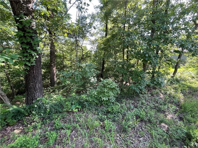 LOT2, BLOCK2 Ingleborough Dr, Bella Vista, AR 72715 - photo 2