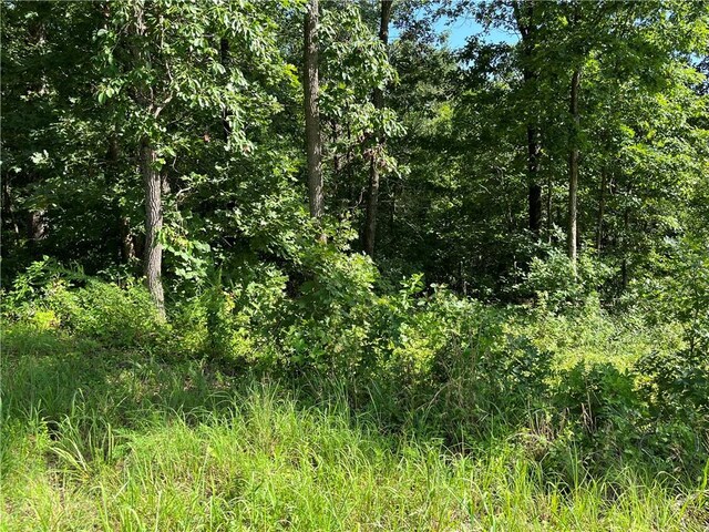 LOT2, BLOCK2 Ingleborough Dr, Bella Vista, AR 72715 - photo 3