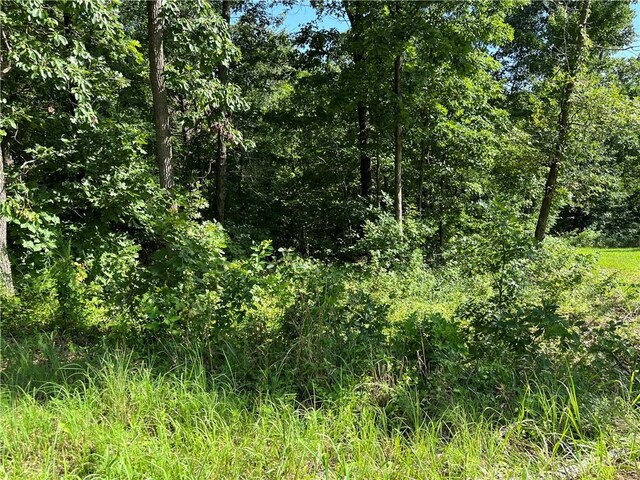 LOT2, BLOCK2 Ingleborough Dr, Bella Vista, AR 72715 - photo 4