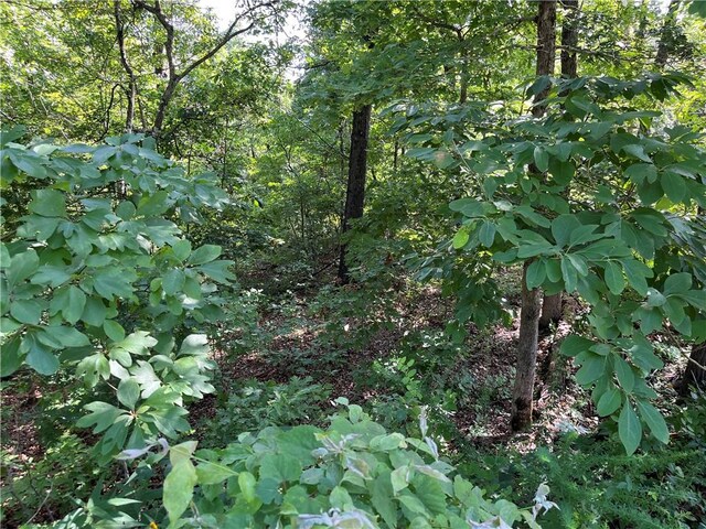 LOT2, BLOCK2 Ingleborough Dr, Bella Vista, AR 72715 - photo 5