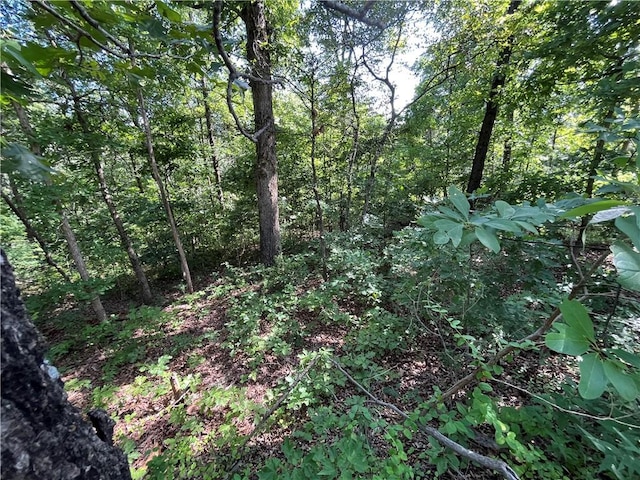 LOT2, BLOCK2 Ingleborough Dr, Bella Vista, AR 72715 - photo 6