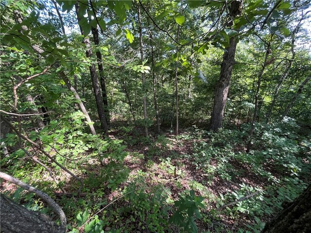 LOT2, BLOCK2 Ingleborough Dr, Bella Vista, AR 72715 - photo 7