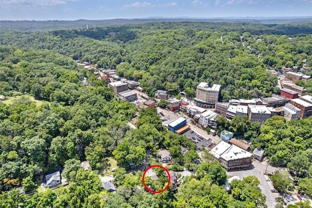 4 Douglas St, Eureka Springs, AR 72632 - photo 47