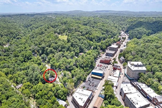 4 Douglas St, Eureka Springs, AR 72632 - photo 4
