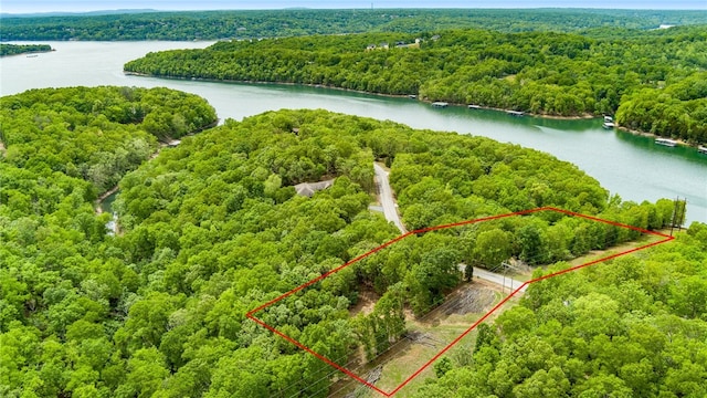 Coose Hollow Ln, Rogers, AR 72756 - photo 1