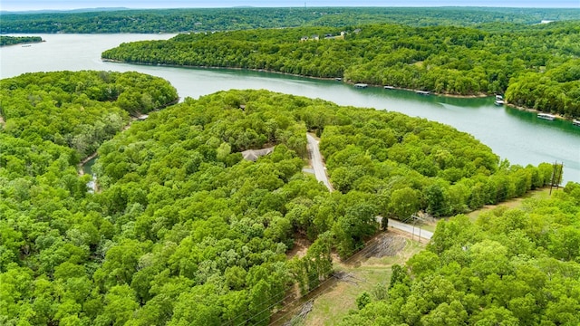 Coose Hollow Ln, Rogers, AR 72756 - photo 4
