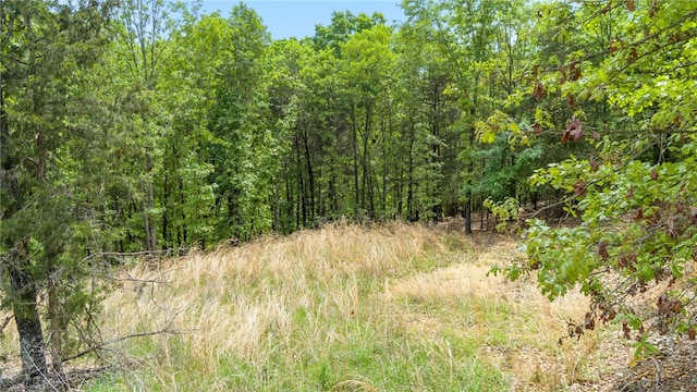 Coose Hollow Ln, Rogers, AR 72756 - photo 5