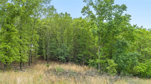 Coose Hollow Ln, Rogers, AR 72756 - photo 6