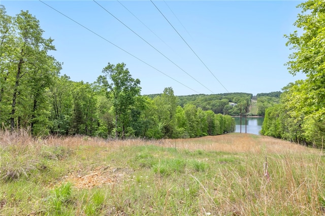 Coose Hollow Ln, Rogers, AR 72756 - photo 9