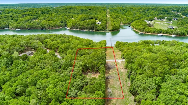Coose Hollow Ln, Rogers, AR 72756 - photo 12