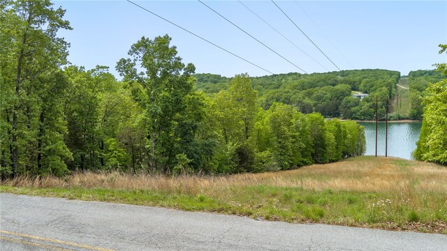 Coose Hollow Ln, Rogers, AR 72756 - photo 14