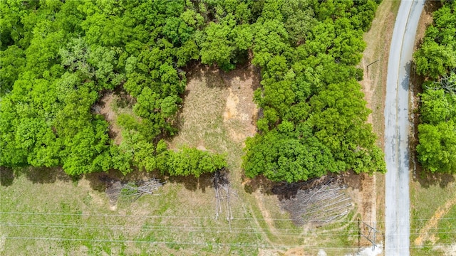 Coose Hollow Ln, Rogers, AR 72756 - photo 15