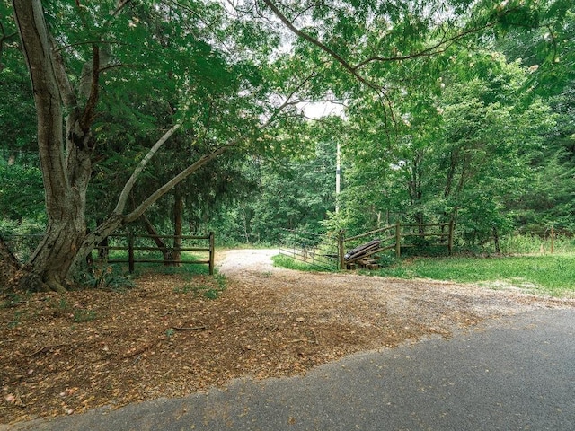 TBD Low Gap Rd, West Fork, AR 72774 - photo 1