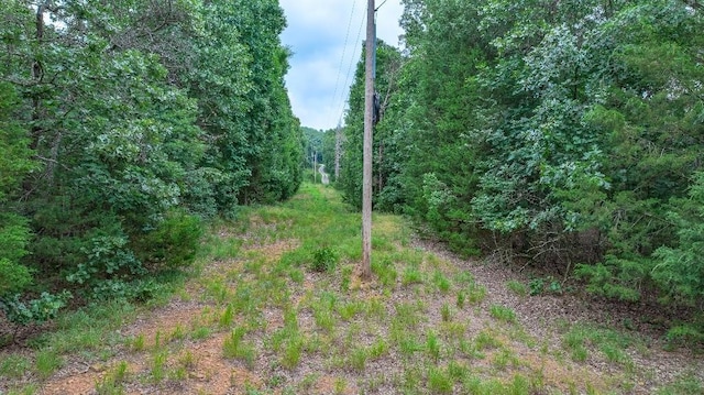 TBD Low Gap Rd, West Fork, AR 72774 - photo 2