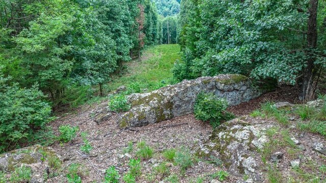 TBD Low Gap Rd, West Fork, AR 72774 - photo 3