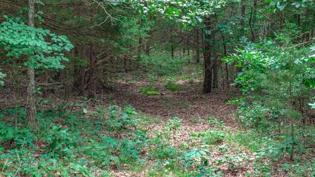 TBD Low Gap Rd, West Fork, AR 72774 - photo 5