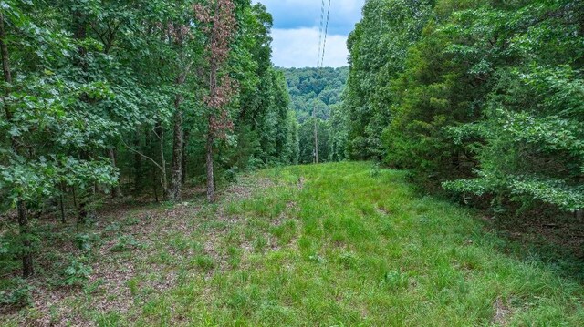 TBD Low Gap Rd, West Fork, AR 72774 - photo 6