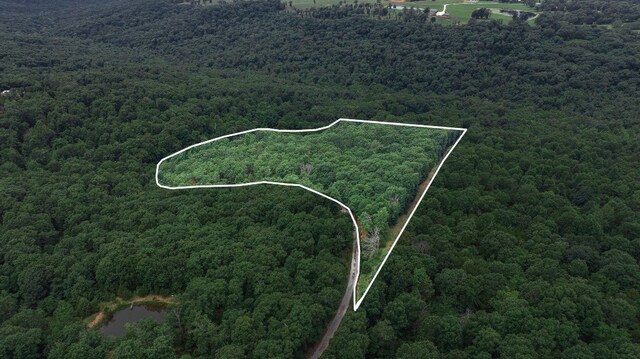 TBD Low Gap Rd, West Fork, AR 72774 - photo 7