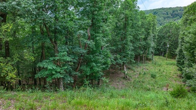 TBD Low Gap Rd, West Fork, AR 72774 - photo 8