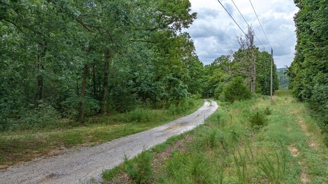 TBD Low Gap Rd, West Fork, AR 72774 - photo 9