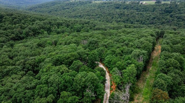 TBD Low Gap Rd, West Fork, AR 72774 - photo 10
