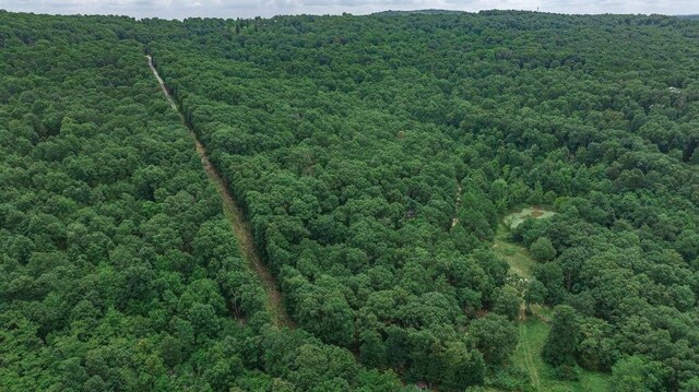 TBD Low Gap Rd, West Fork, AR 72774 - photo 11