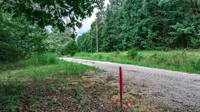 TBD Low Gap Rd, West Fork, AR 72774 - photo 12