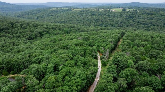 TBD Low Gap Rd, West Fork, AR 72774 - photo 13