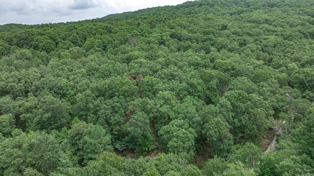 TBD Low Gap Rd, West Fork, AR 72774 - photo 15