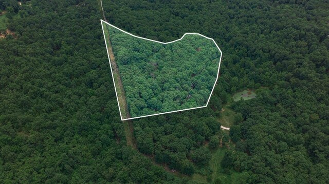TBD Low Gap Rd, West Fork, AR 72774 - photo 16