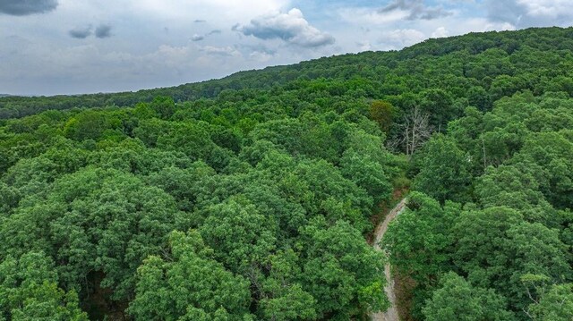 TBD Low Gap Rd, West Fork, AR 72774 - photo 17