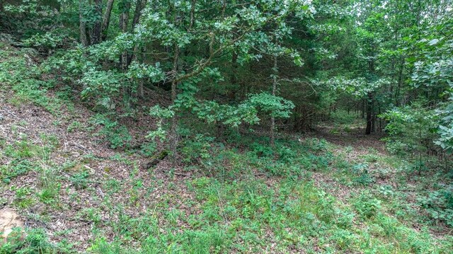 TBD Low Gap Rd, West Fork, AR 72774 - photo 18