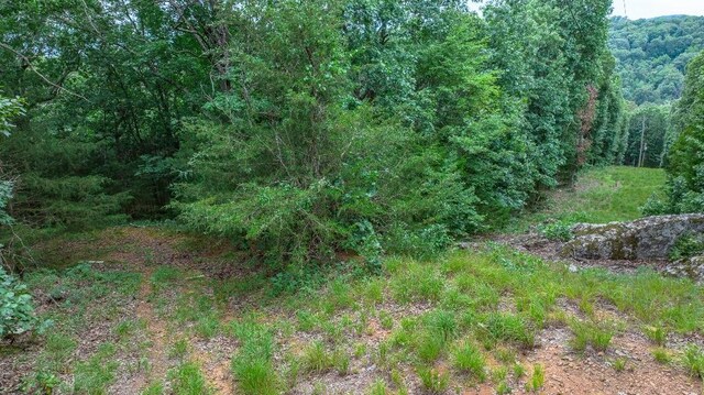 TBD Low Gap Rd, West Fork, AR 72774 - photo 19