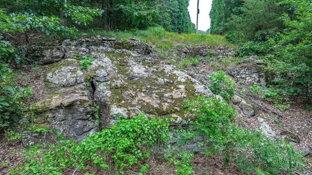 TBD Low Gap Rd, West Fork, AR 72774 - photo 20