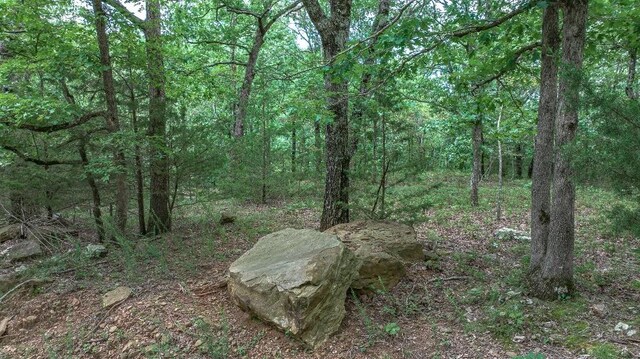 TBD Low Gap Rd, West Fork, AR 72774 - photo 21