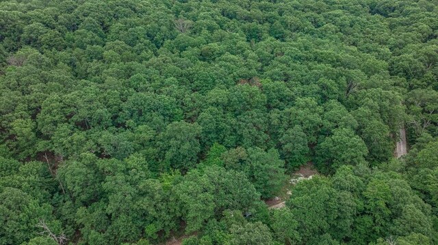 TBD Low Gap Rd, West Fork, AR 72774 - photo 22