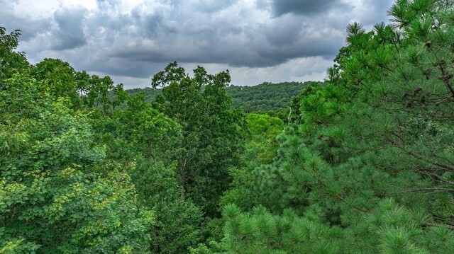 TBD Low Gap Rd, West Fork, AR 72774 - photo 23