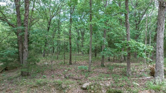 TBD Low Gap Rd, West Fork, AR 72774 - photo 25