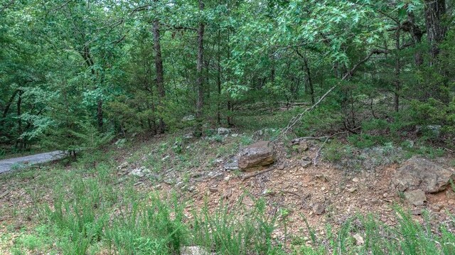 TBD Low Gap Rd, West Fork, AR 72774 - photo 26
