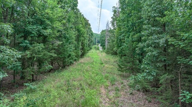 TBD Low Gap Rd, West Fork, AR 72774 - photo 28